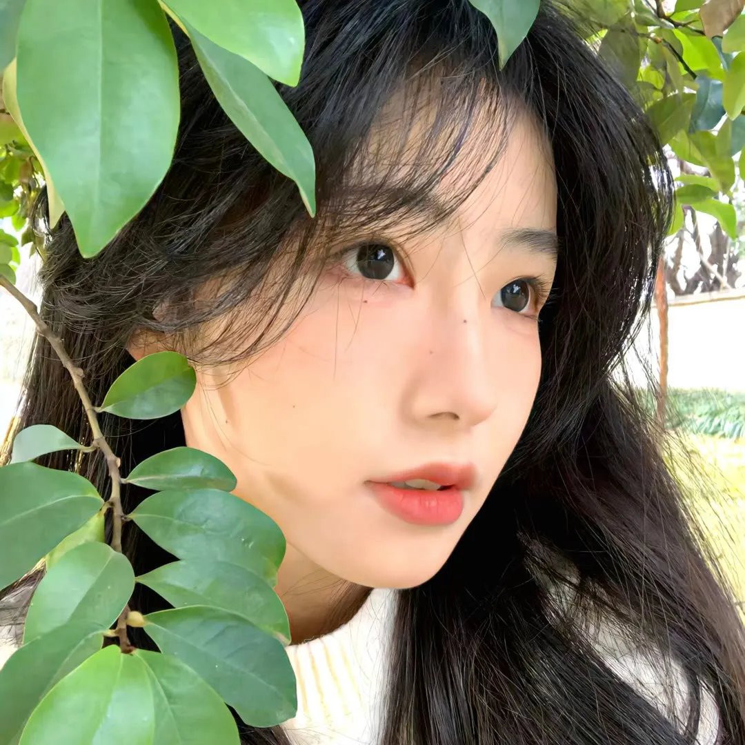 断线森林