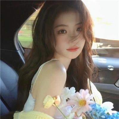完美的主人